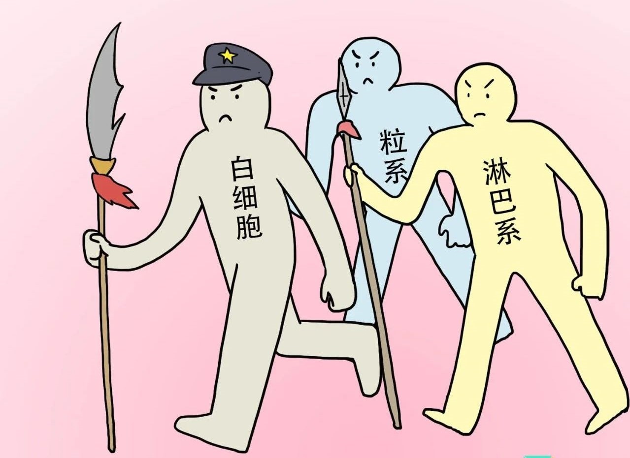 ѪҎ(gu)(bo)м^ǽt